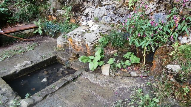 Agnesbründl 15.9.2021