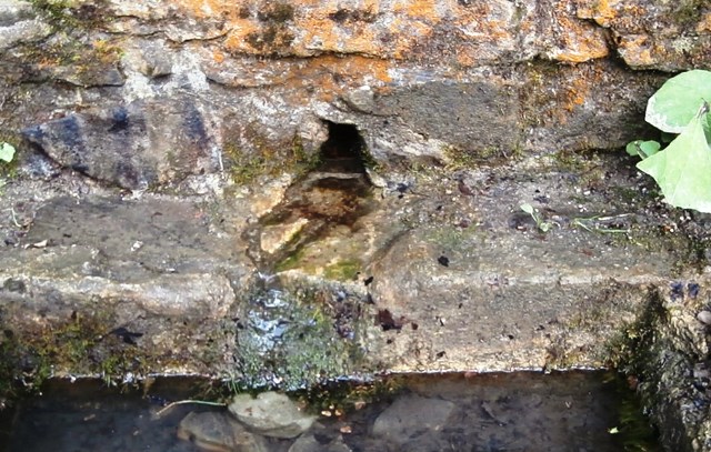 Agnesbründl 15.9.2021