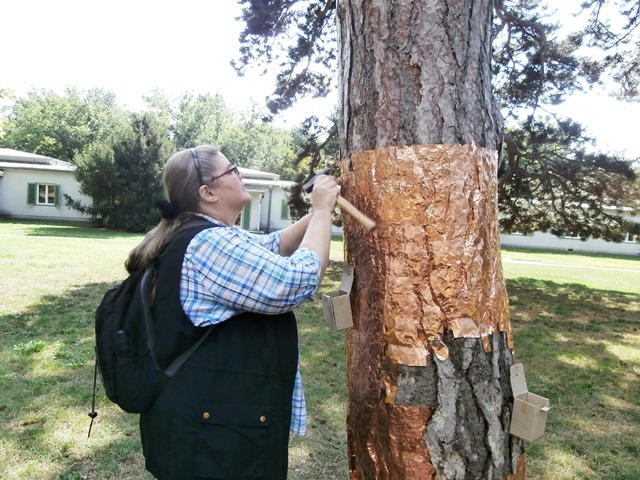 Auer Welsbach Park 5.9.2019