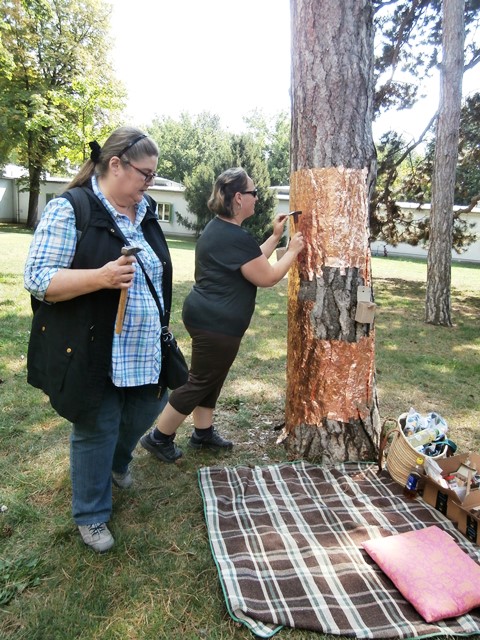 Auer Welsbach Park 5.9.2019