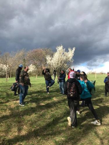 Ausflug Gallizinberg_05