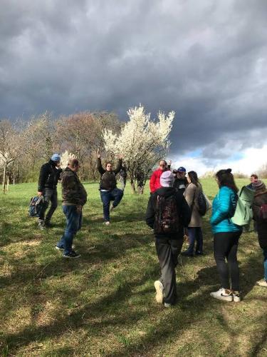Ausflug Gallizinberg_08