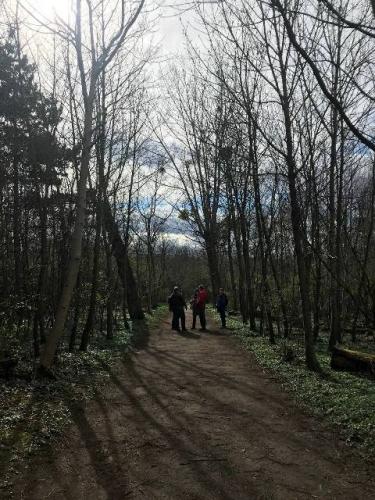 Ausflug Gallizinberg_18