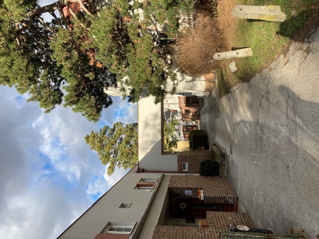 Ausflug Lainzer Bach 05.02.2022