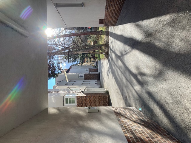 Ausflug Lainzer Bach 05.02.2022