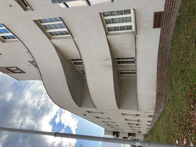 Ausflug Lainzer Bach 05.02.2022