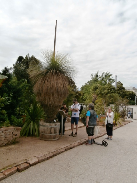 Botanischer Garten - Belvedere
