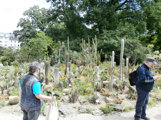 Botanischer Garten - Belvedere