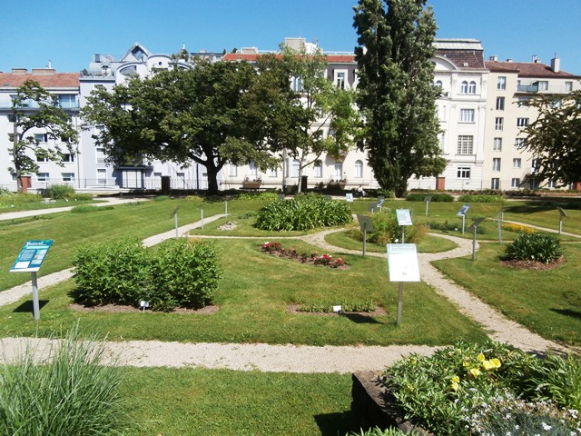 Botanischer Garten - Belvedere