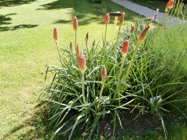 Botanischer Garten - Belvedere