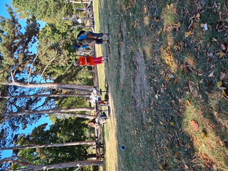 BocciaPark20240824016