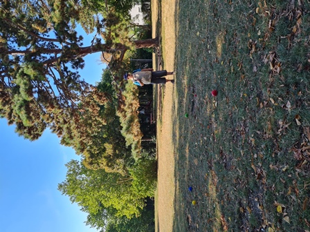 BocciaPark20240824018