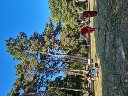 BocciaPark20240824023