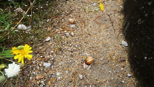 Botanischer Garten 26.8.2021