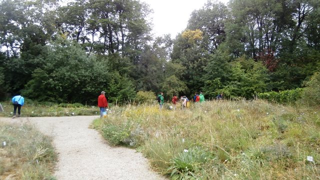 Botanischer Garten 26.8.2021