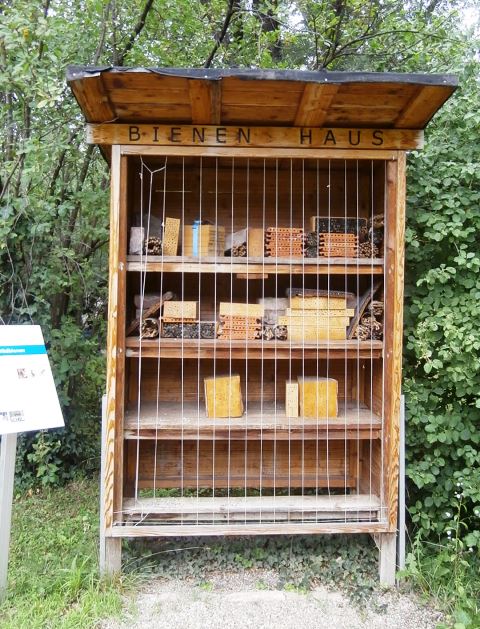 Botanischer Garten 26.8.2021