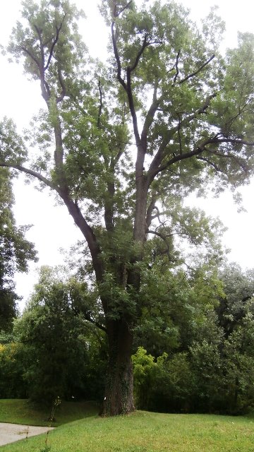 Botanischer Garten 26.8.2021