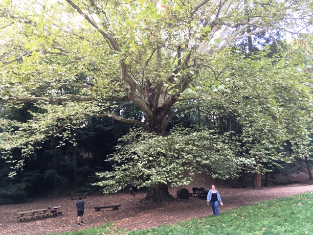 Dehnepark 22.08.2019