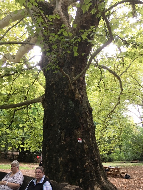 Dehnepark 22.08.2019