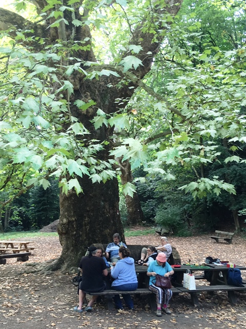 Dehnepark 22.08.2019