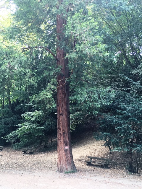 Dehnepark 22.08.2019