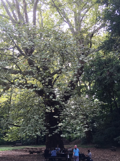 Dehnepark 22.08.2019