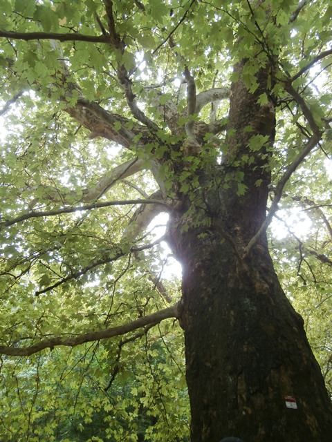 Dehnepark 22.08.2019