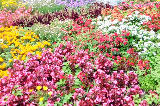 Floridsdorfer Wasserpark 25.07.2020