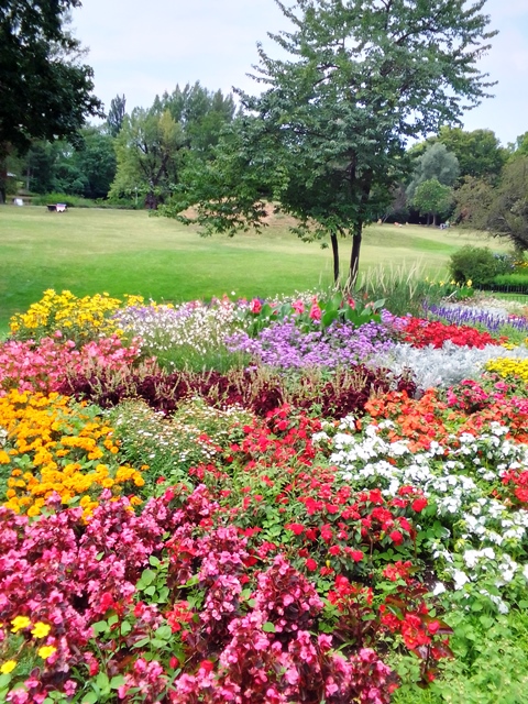 Floridsdorfer Wasserpark 25.07.2020
