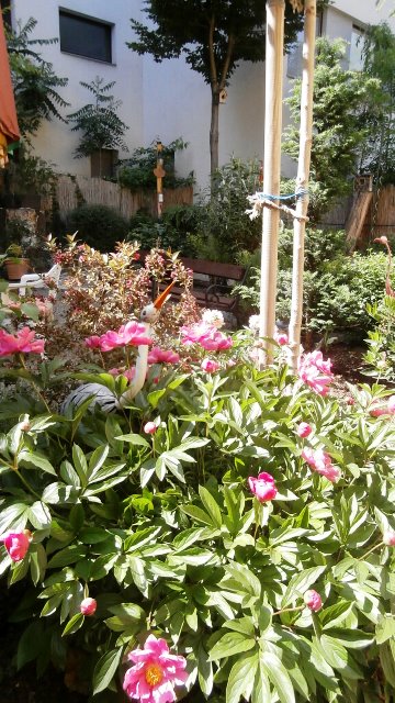 Endlich wieder offen :)