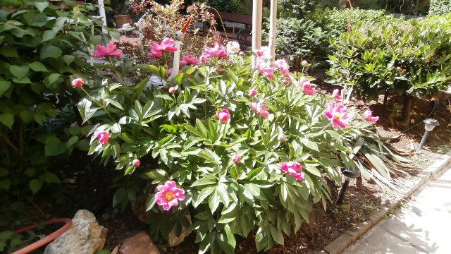 Endlich wieder offen :)