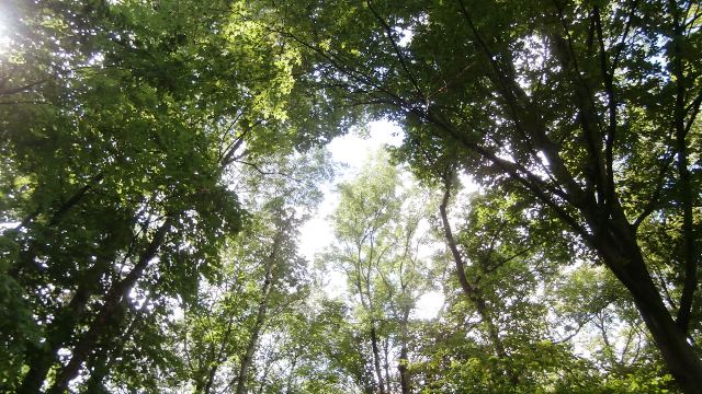 Geologischer Lehrpfad 28082021