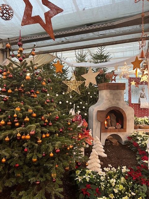 Hirschstaetten_Weihnachtsmarkt010