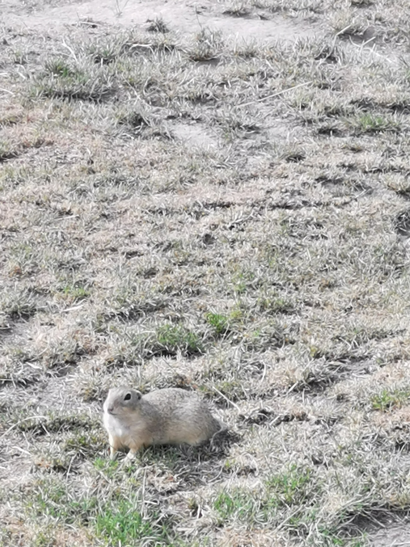 Hirschstetten 13_8_22_0109