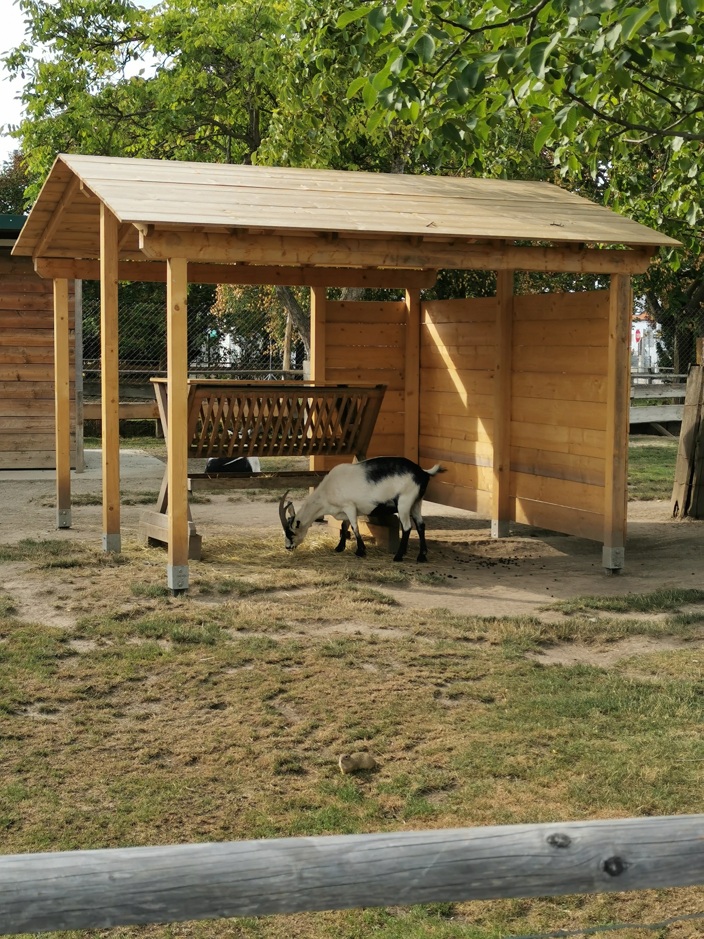 Hirschstetten 13_8_22_0110