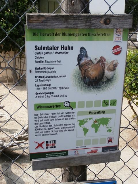 Hirschstetten 22.06.2019