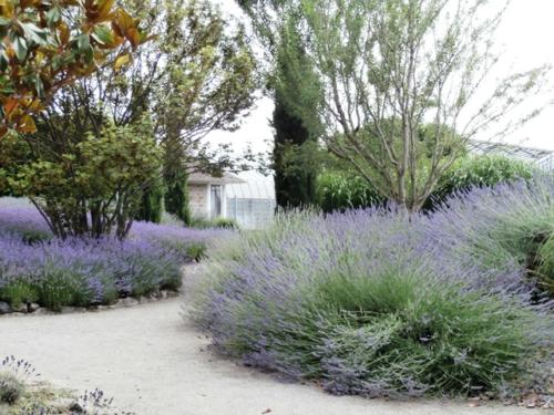 Hirschstetten 22.06.2019