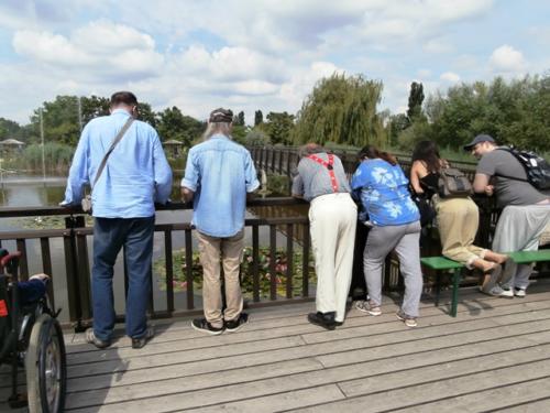 Hirschstetten 22.06.2019