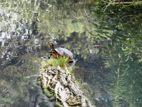 Hirschstetten 22.06.2019