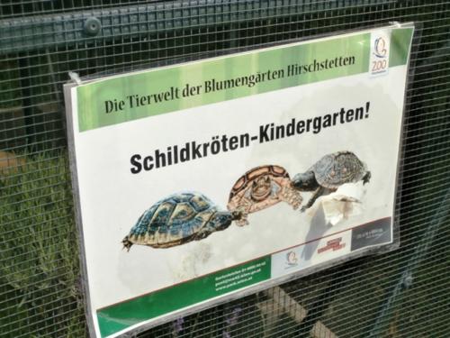 Hirschstetten 22.06.2019