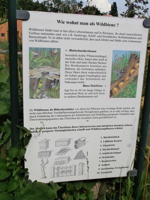 Hirschstetten 22.06.2019