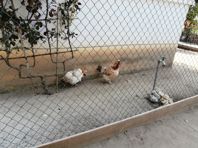 Hirschstetten 29.08.2019