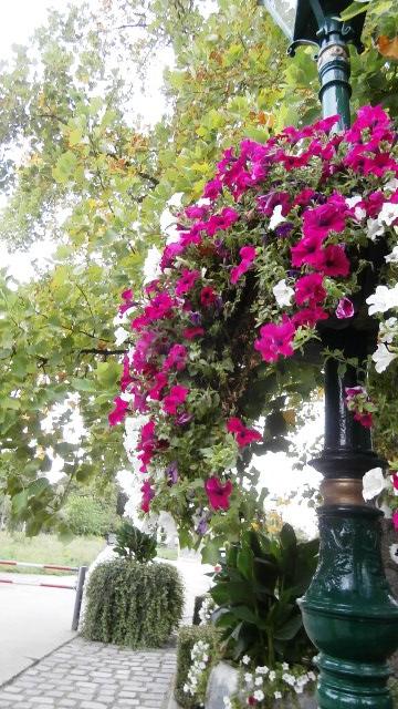 Hirschstettner Blumengärten 24.09.21