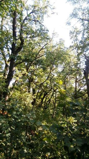 Ausflug Kahlenberg 23.09.2021