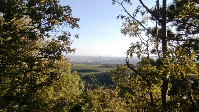 Ausflug Kahlenberg 23.09.2021