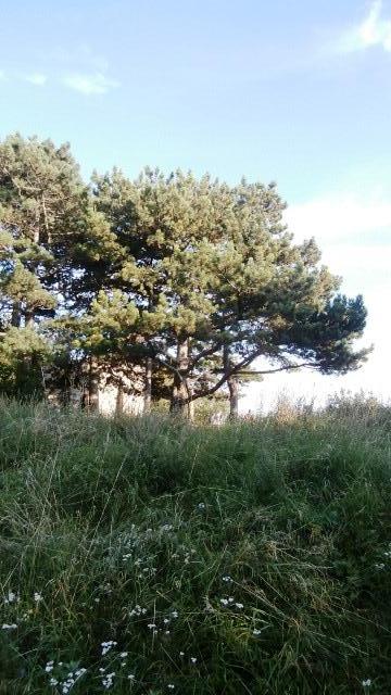 Ausflug Kahlenberg 23.09.2021