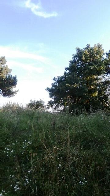 Ausflug Kahlenberg 23.09.2021