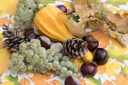 Kulturfruehstueck002