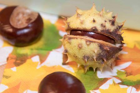 Kulturfruehstueck006