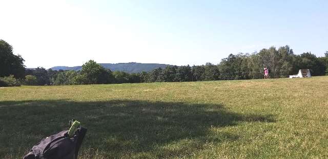 Lainzer Tiergarten05